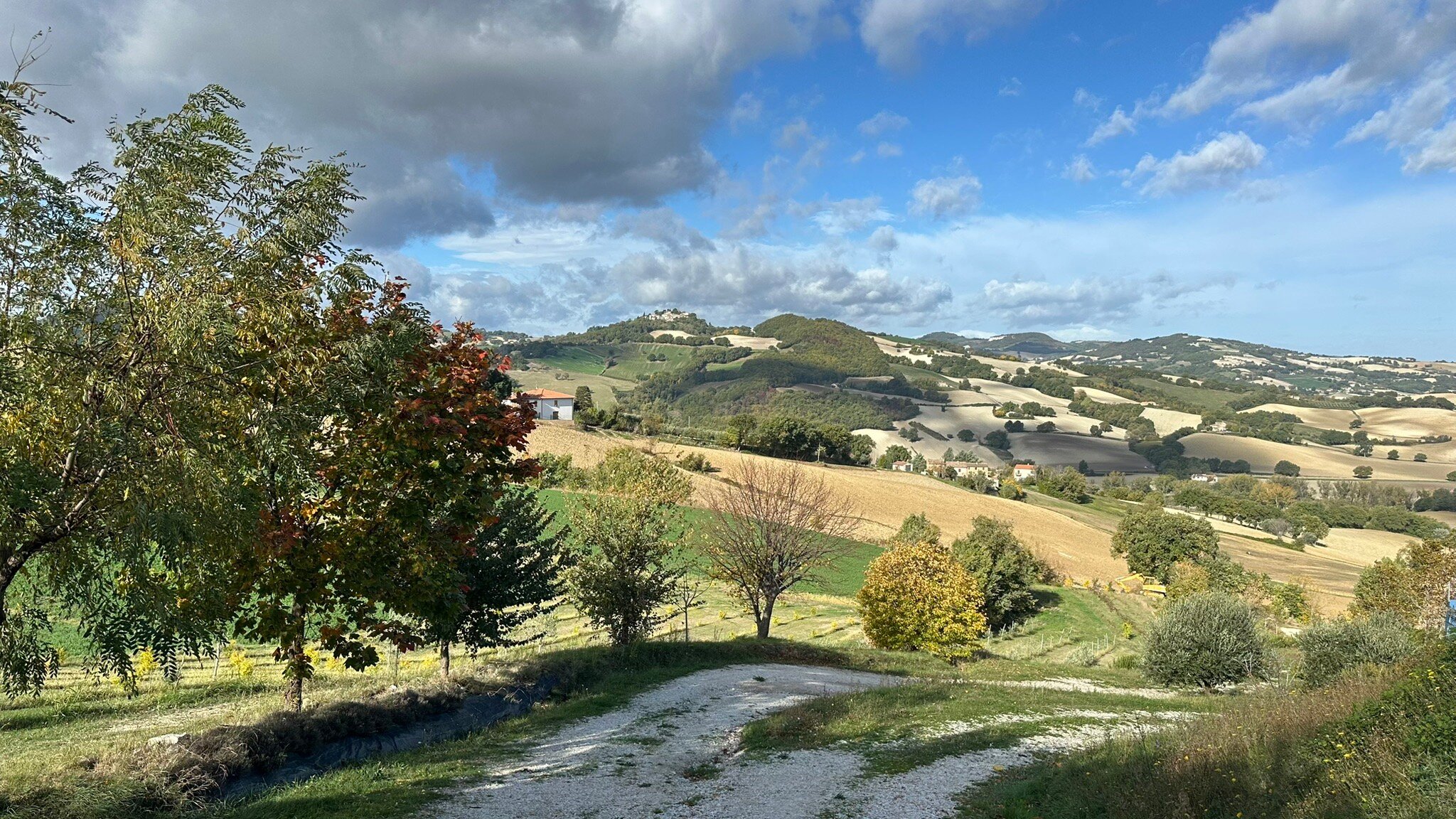 Il Paradiso del Re-官方