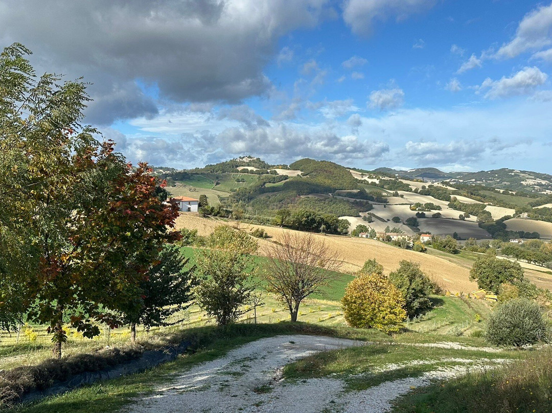 Il Paradiso del Re主图