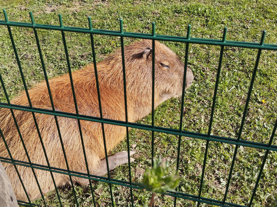 La Tanière - Zoo Refuge-Nogent-le-Phaye必去景点