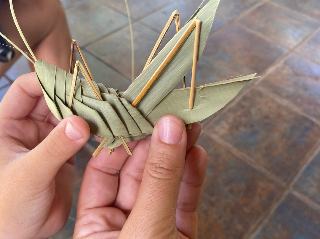 La Maison du Coco-圣亮必去景点