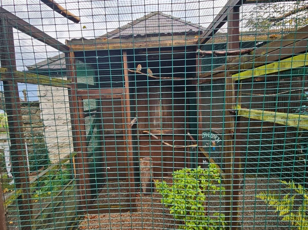 The Owls Trust-兰迪德诺必去景点