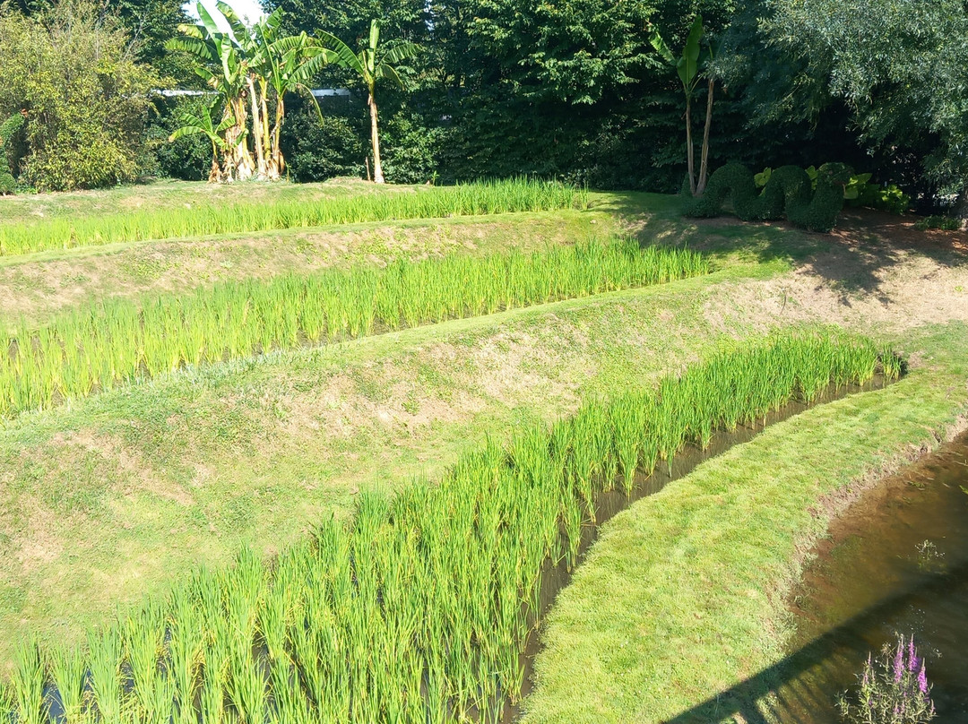 昂热植物园-昂热必去景点