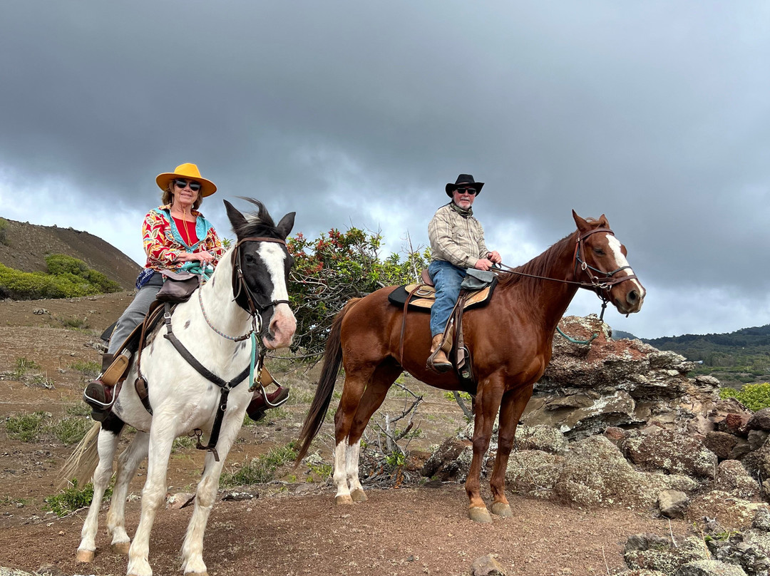 Triple L Ranch Horseback Tours-库拉必去景点