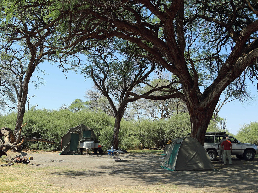 Africa's Best Adventures-开普敦必去景点