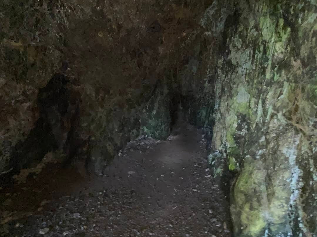 Muriwai's Cave-法卡塔尼必去景点