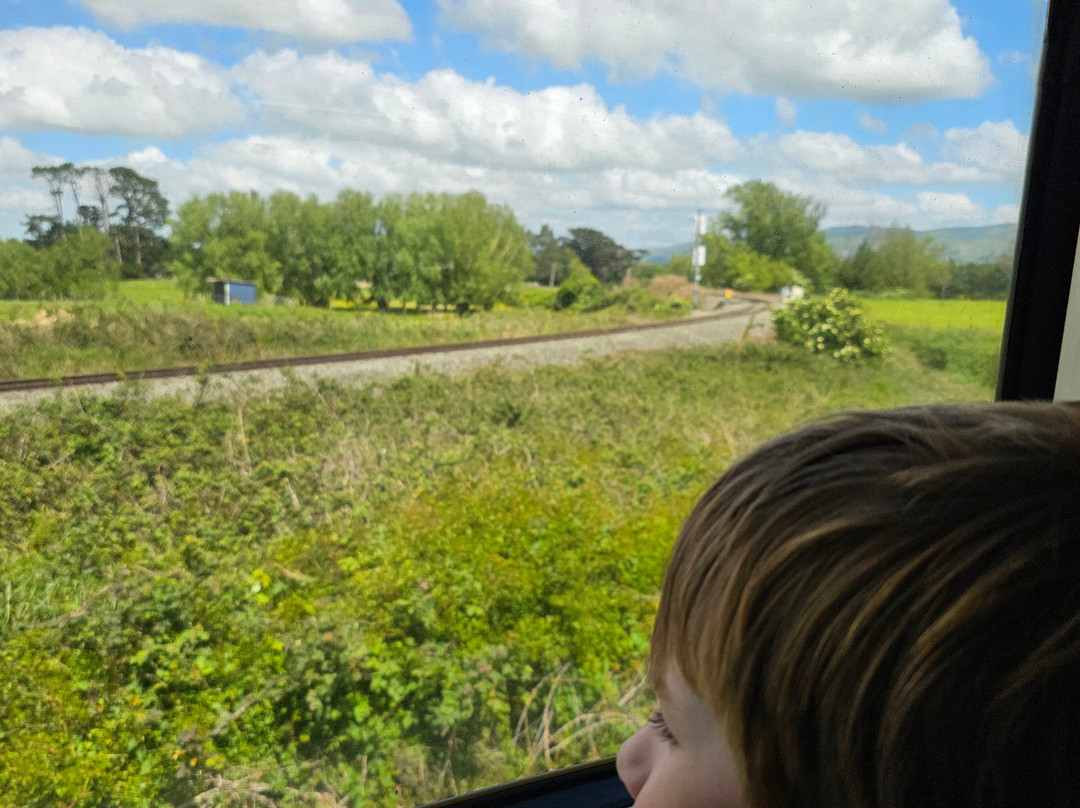 Steam Incorporated-Paekakariki必去景点