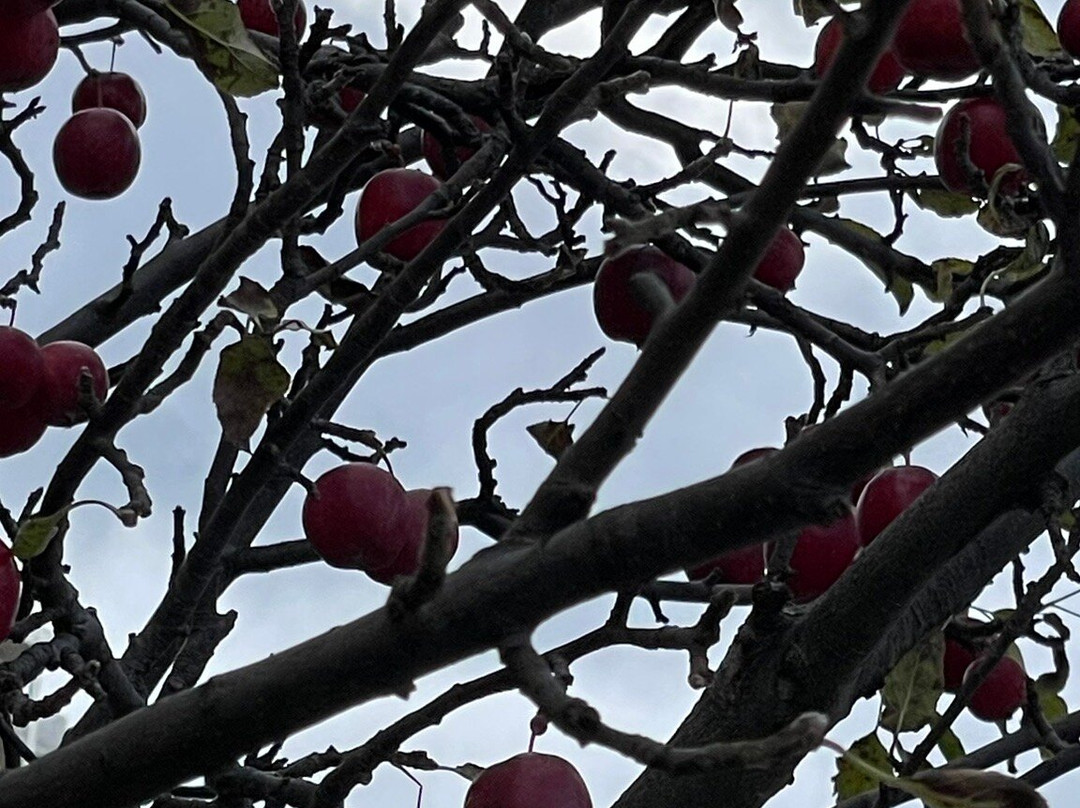 Aomori Prefecture Tourist Centerl ASPAM-青森市必去景点