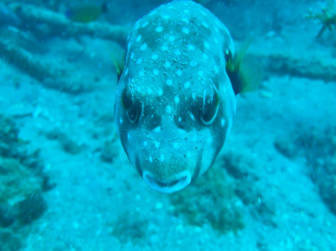 Scuba Nosy Be-诺西贝必去景点