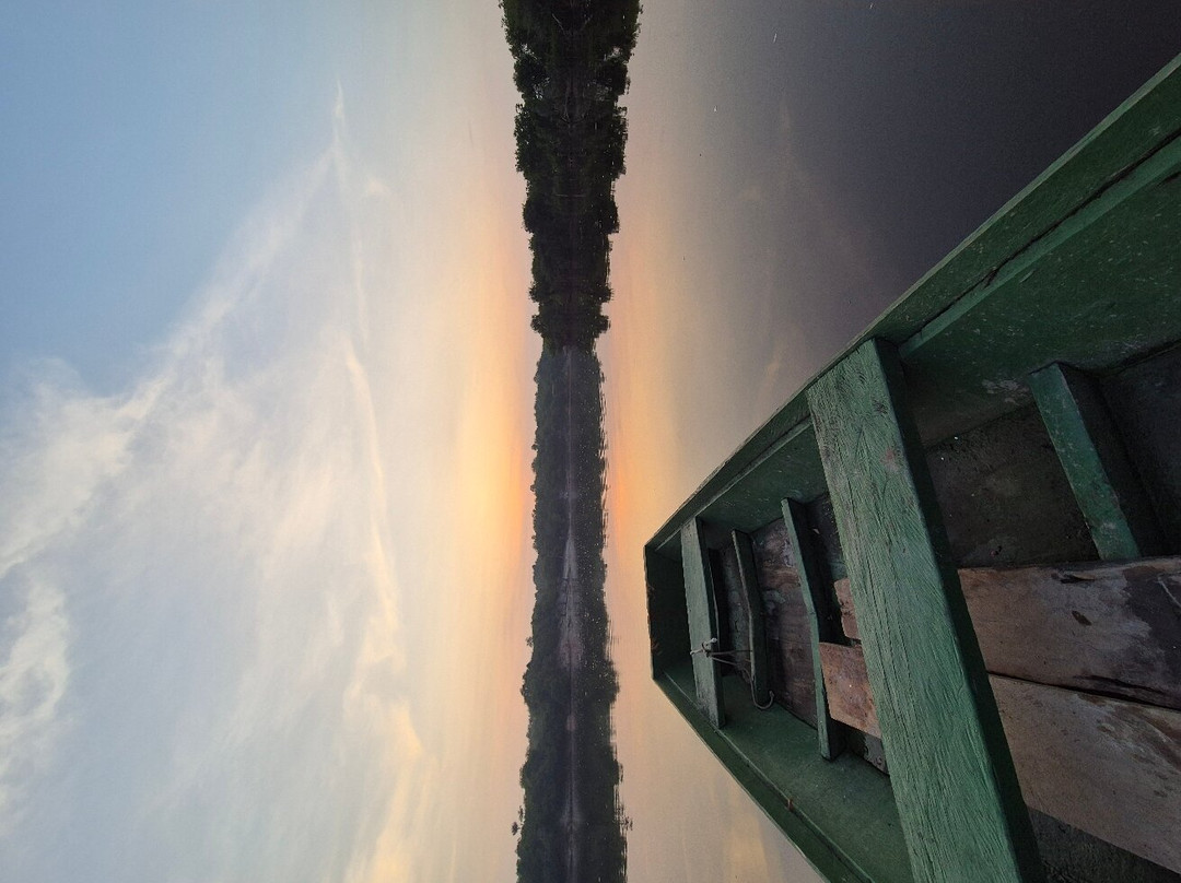 Amazon Antonio Jungle Tours-玛瑙斯必去景点