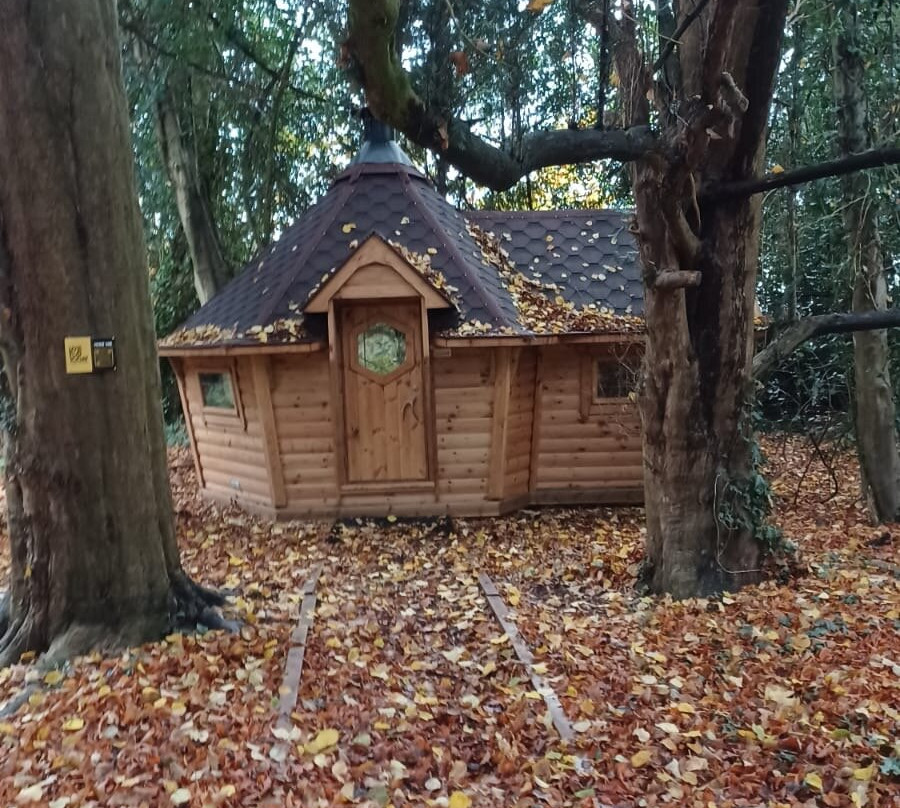 Live For Today-哈罗盖特必去景点