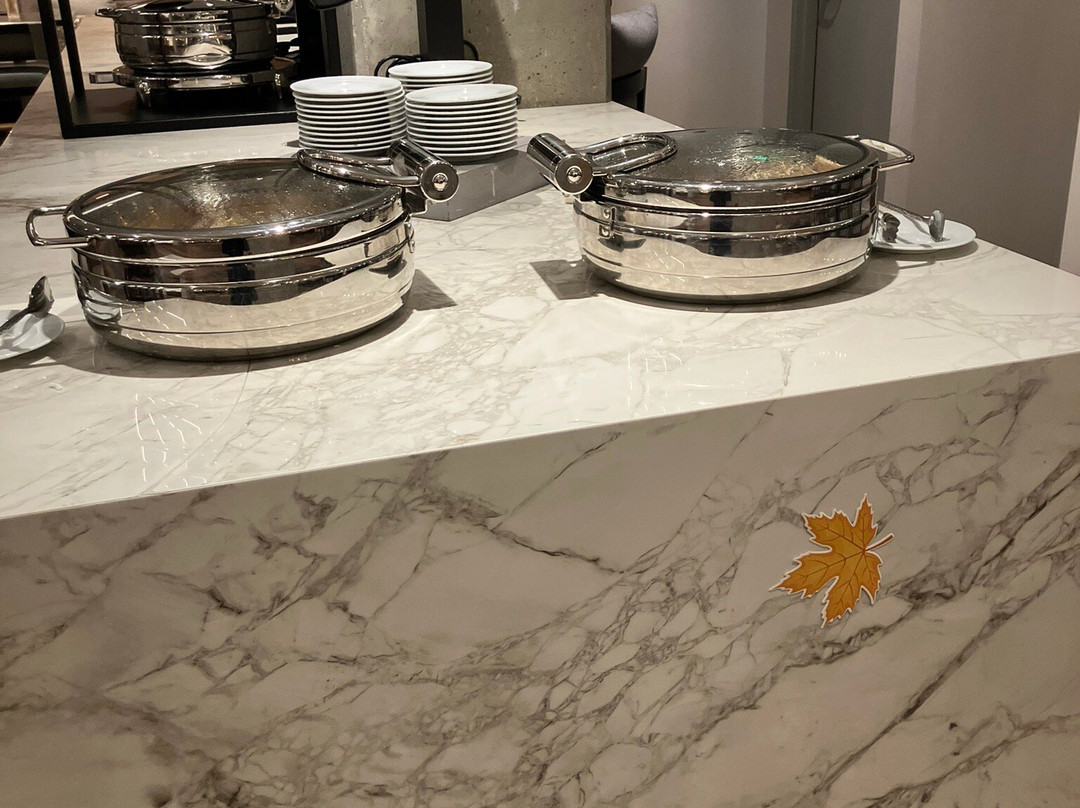 Marriott Owings Mills Metro Centre主图