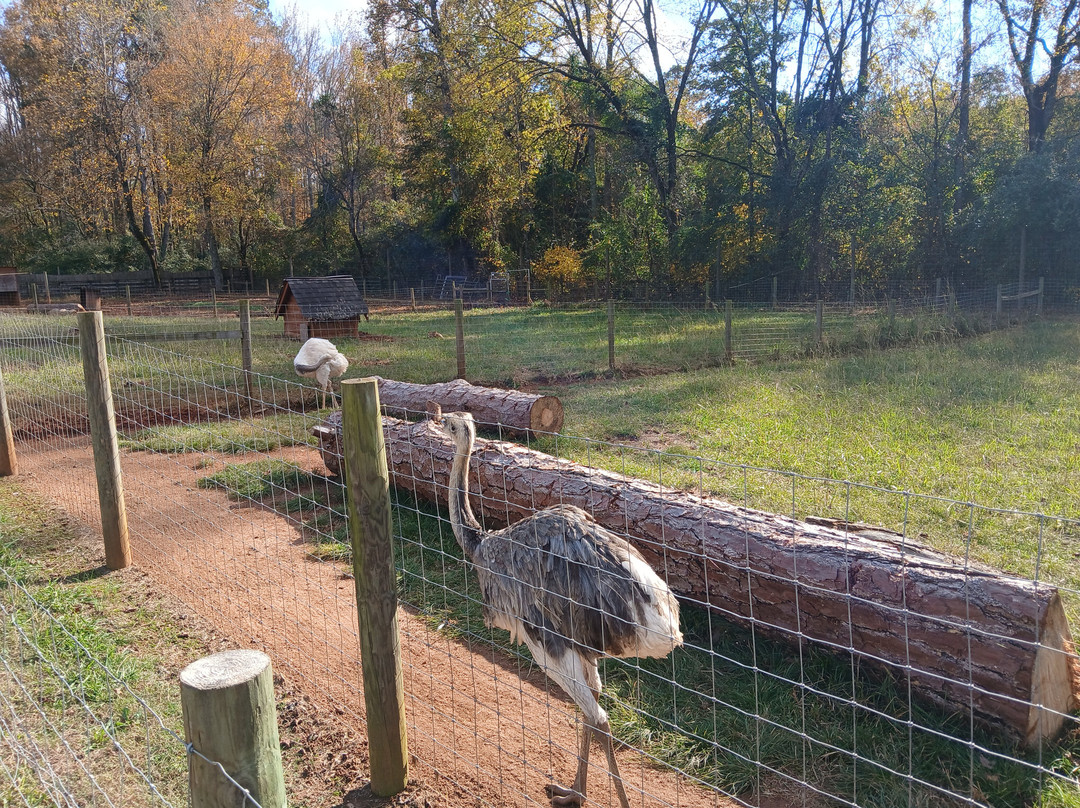 Georgia Untamed Zoo-Hogansville必去景点