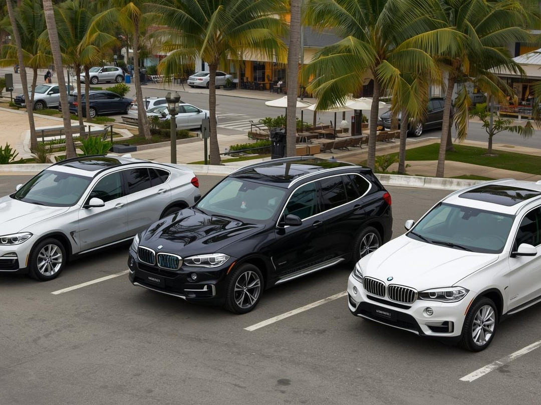 Fuhgeddaboudit Cairns Private Transfers-凯恩斯必去景点