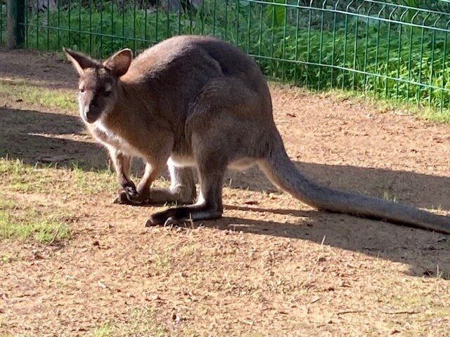 Jardin Zoologique Tropical-La Londe Les Maures必去景点