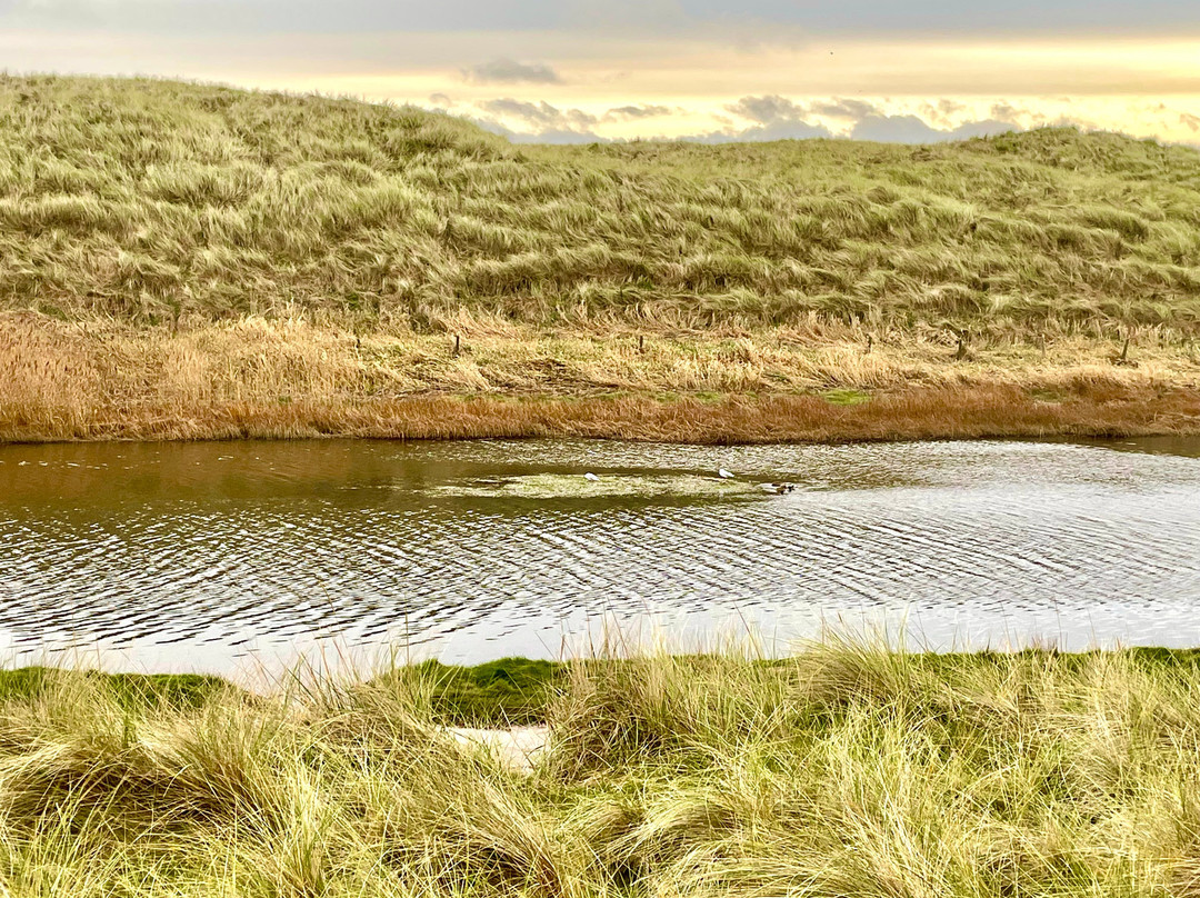 Waters of Philorth local nature reserve