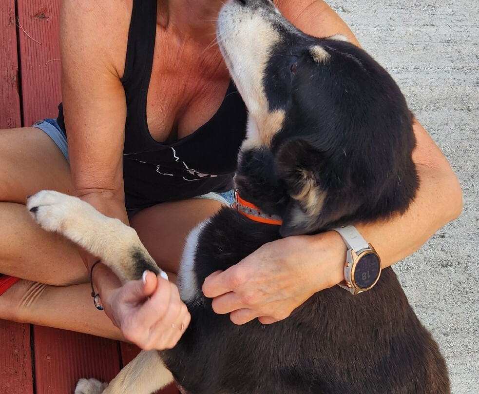 Kiikii Inn & Suites主图