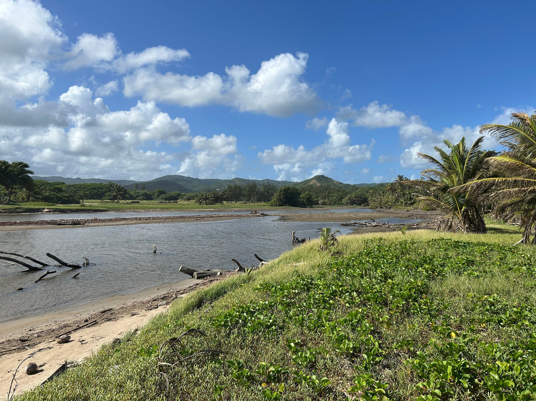 Walkers Reserve-布里奇顿必去景点