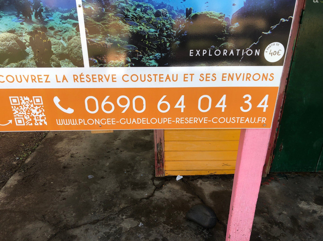 Anse Caraibe Plongee-瓜德罗普岛必去景点