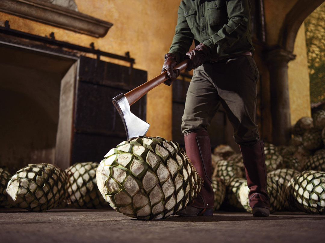 Fábrica La Rojeña-特基拉必去景点