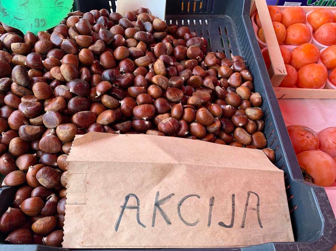 Central Market-卢布尔雅那必去景点