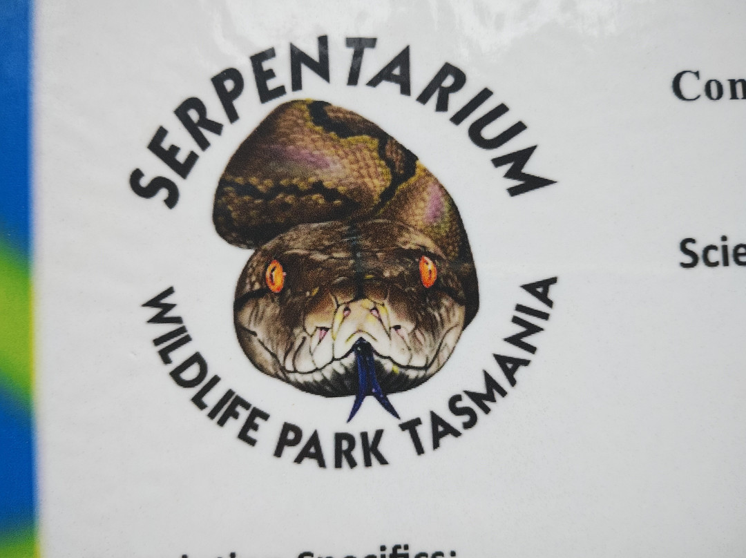 Serpentarium Wildlife Park Tasmania-圣海伦火山必去景点