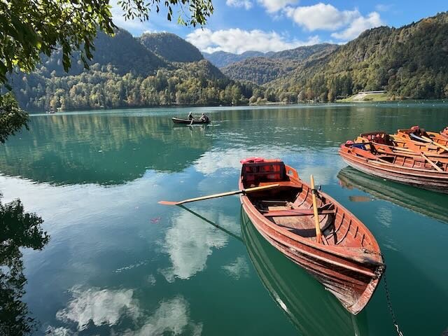 Triangel Boutique Hotel-官方