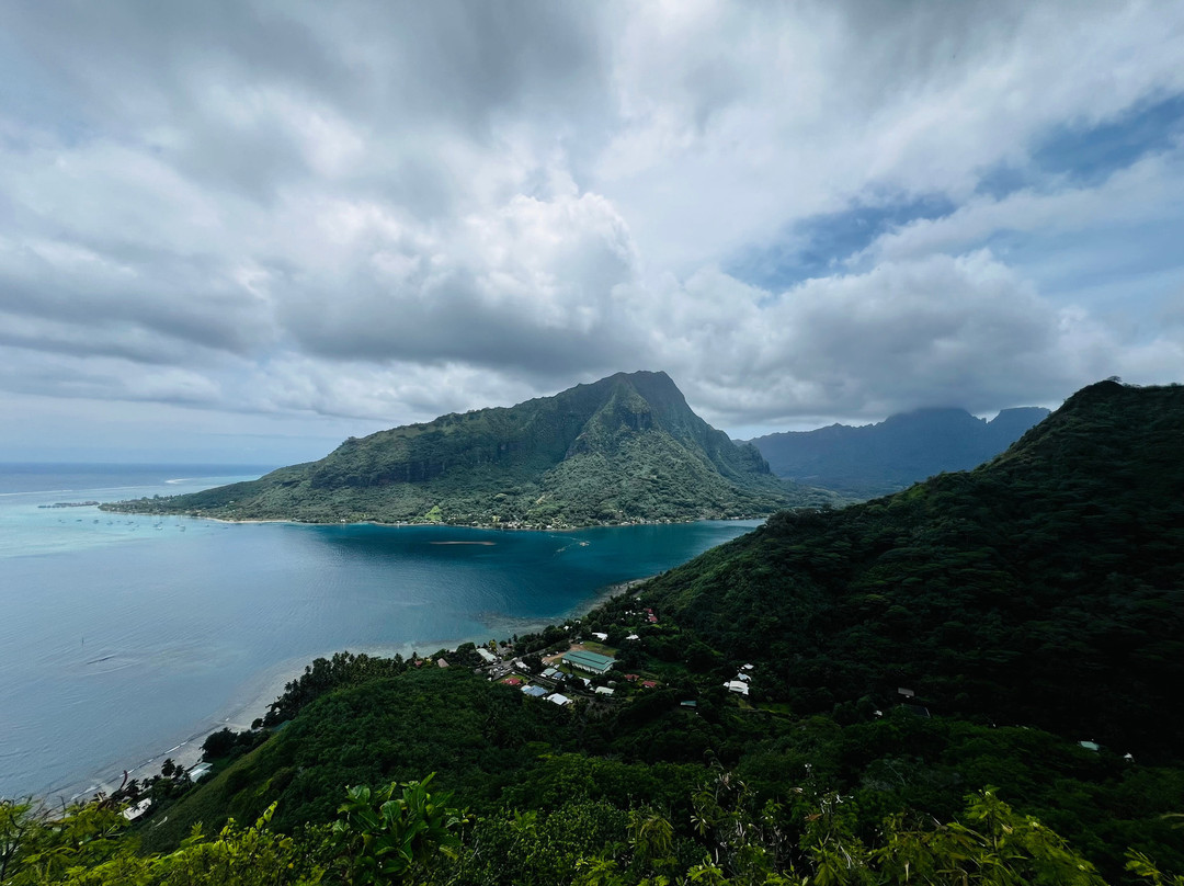 莫雷阿岛ATV之旅-莫雷阿岛必去景点