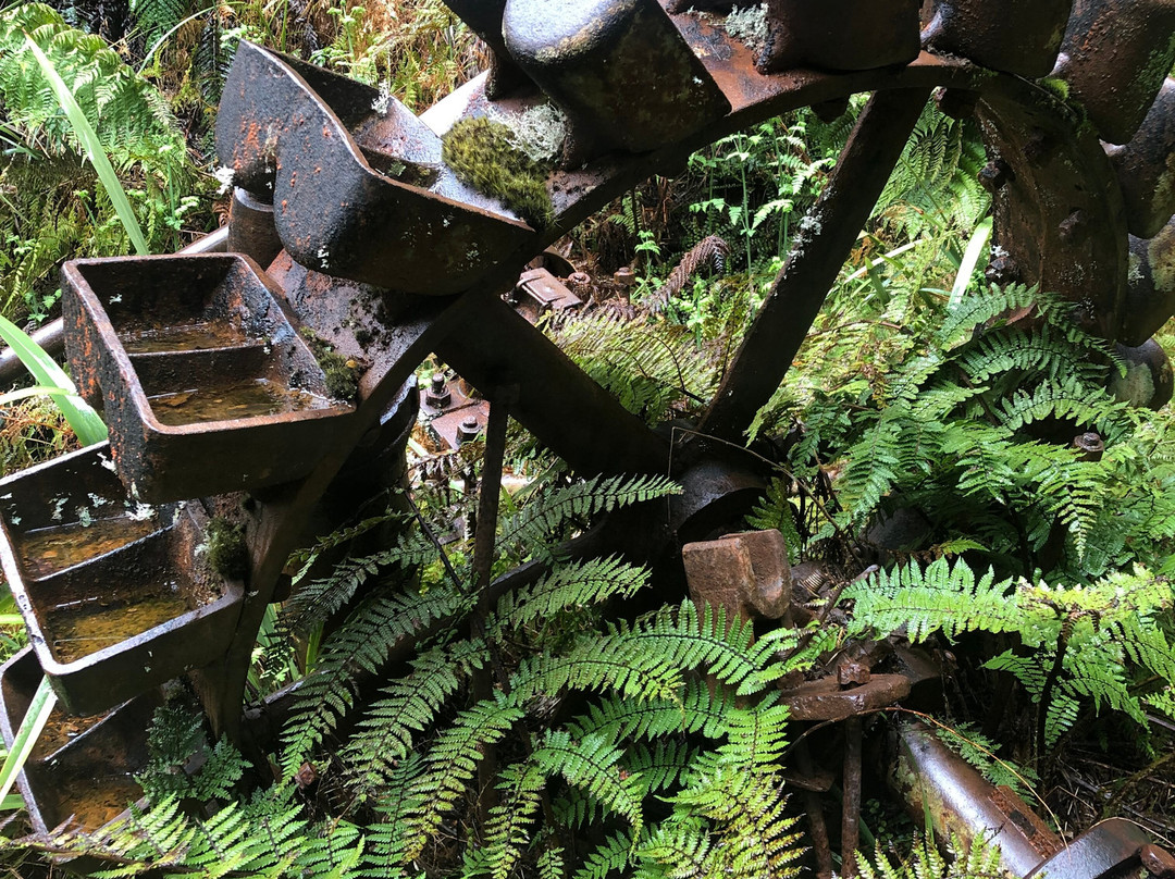 Paparoa Guided Walks-普纳凯基必去景点