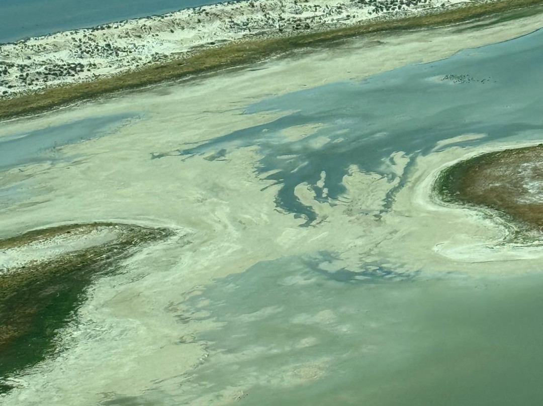 Wrightsair-William Creek必去景点