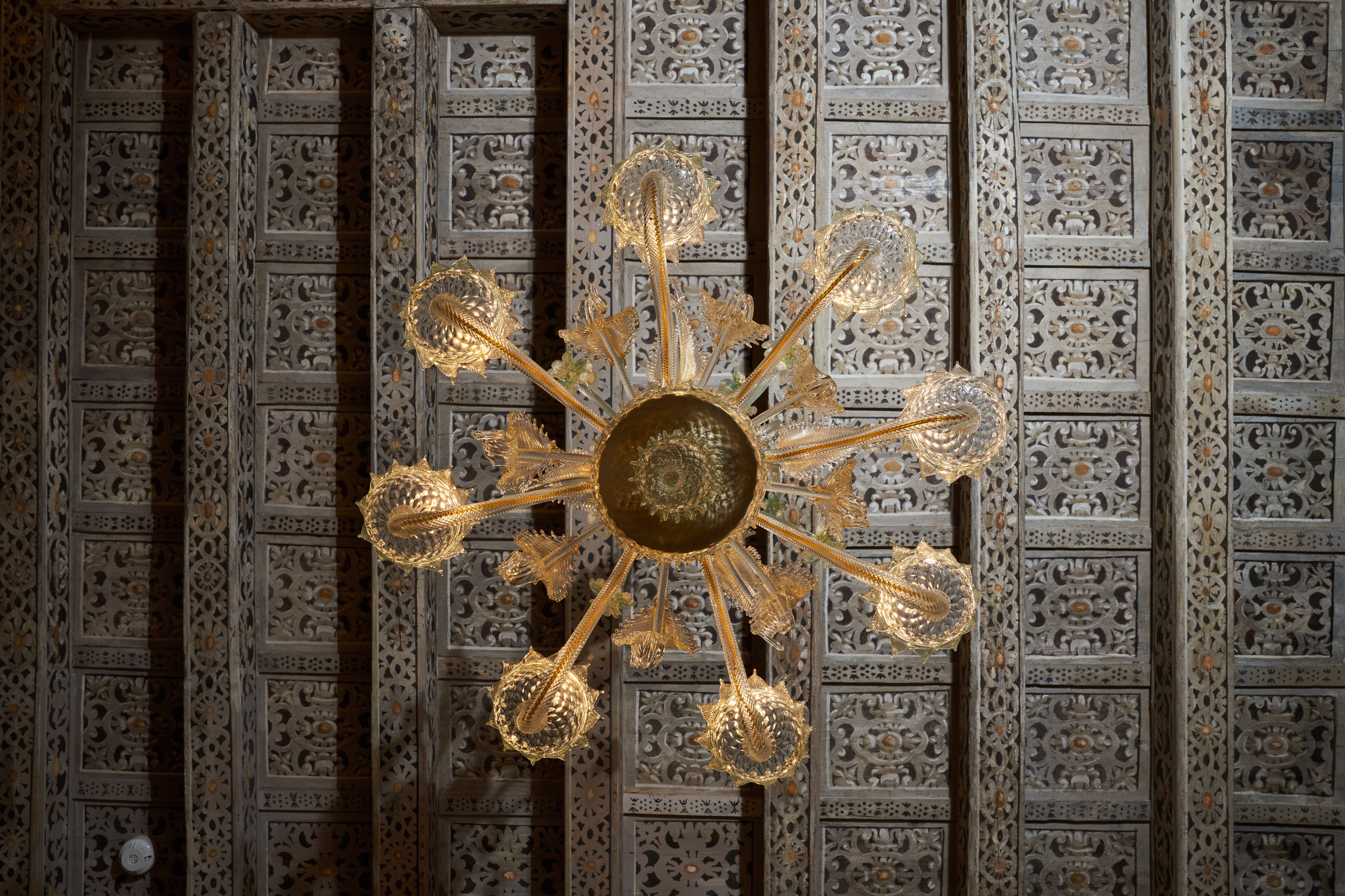 Villa Martìn-官方