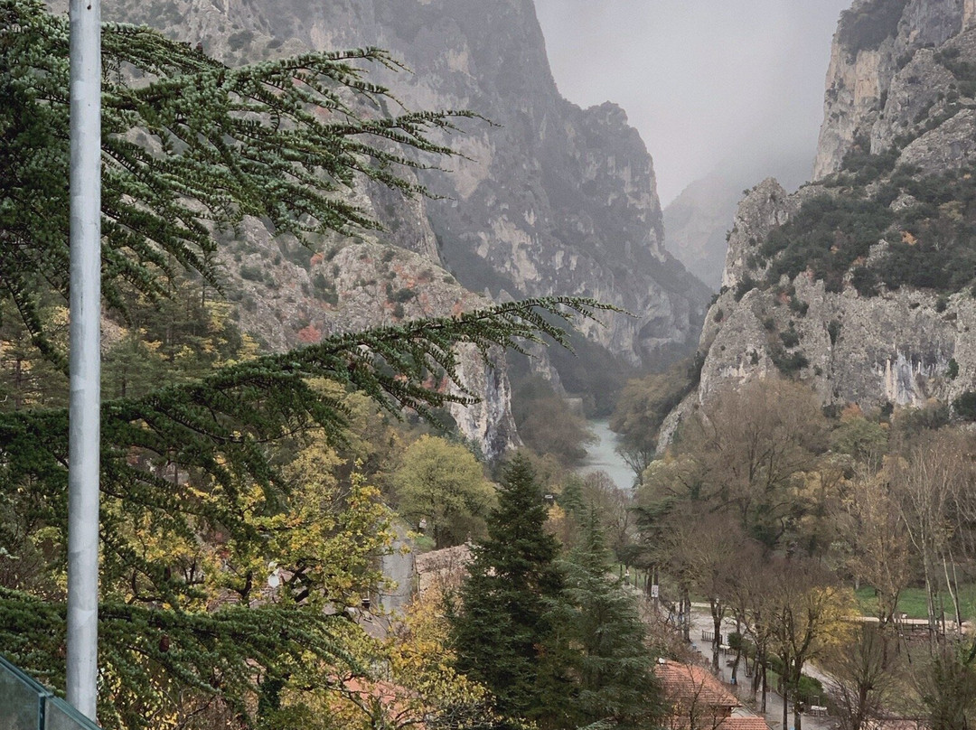 La Forestale Luxury Ecolodge主图