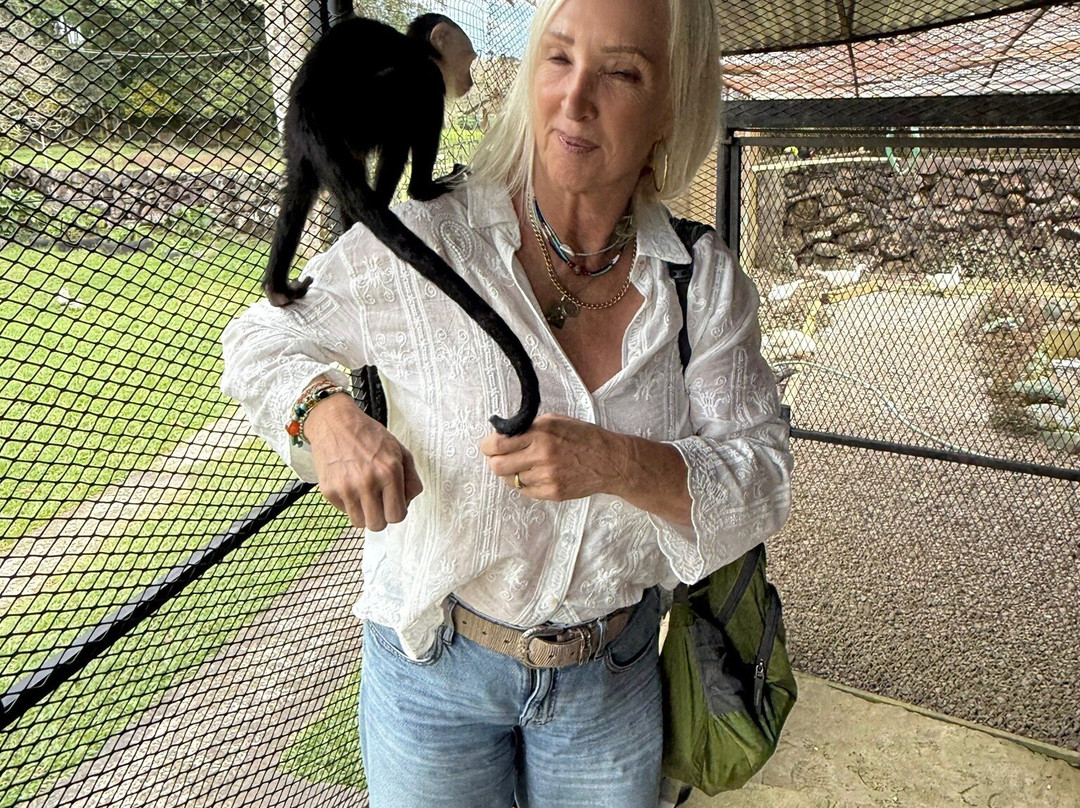 Jungla de Panama Wildlife Refuge-波魁特必去景点