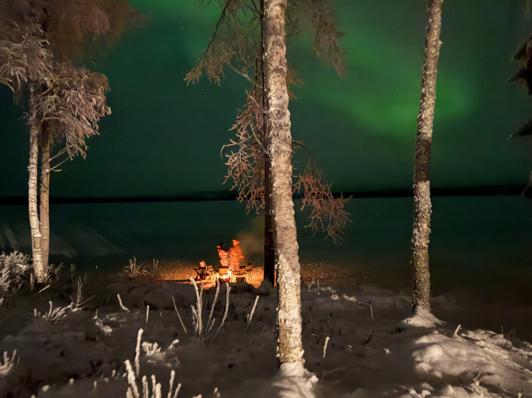 Lupland Adventures-Ranua必去景点