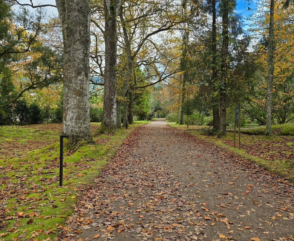 Parque Terra Nostra-富尔纳斯必去景点