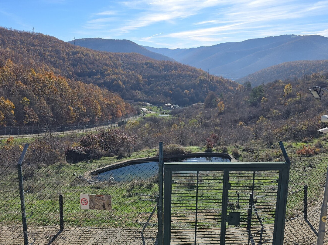 BEAR SANCTUARY Prishtina-普里什蒂纳必去景点