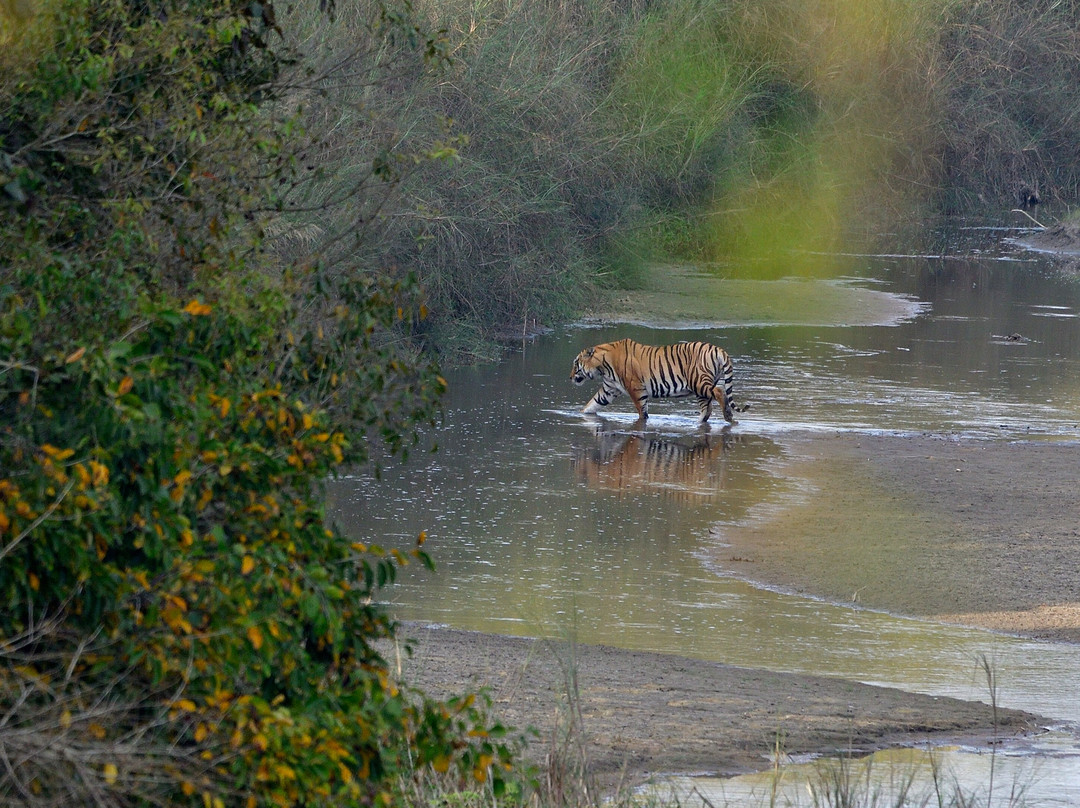 Adventure Safari & Trek-Thakurdwara必去景点
