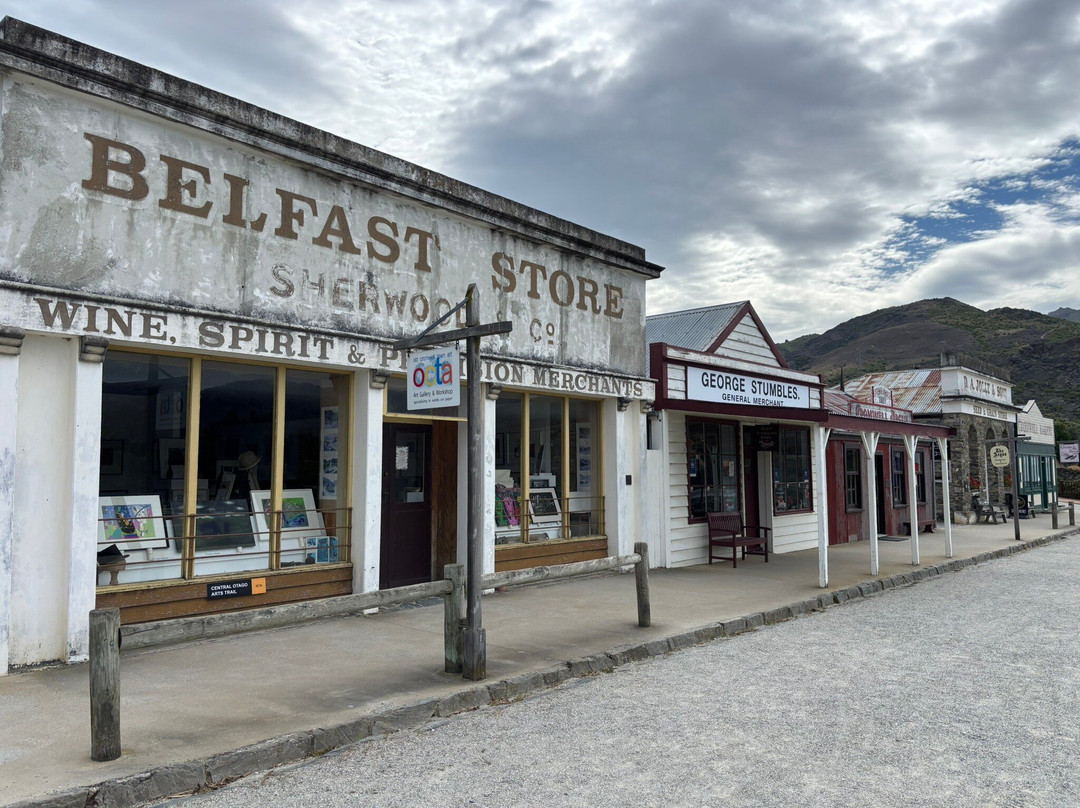 Shebikeshebikes Clyde