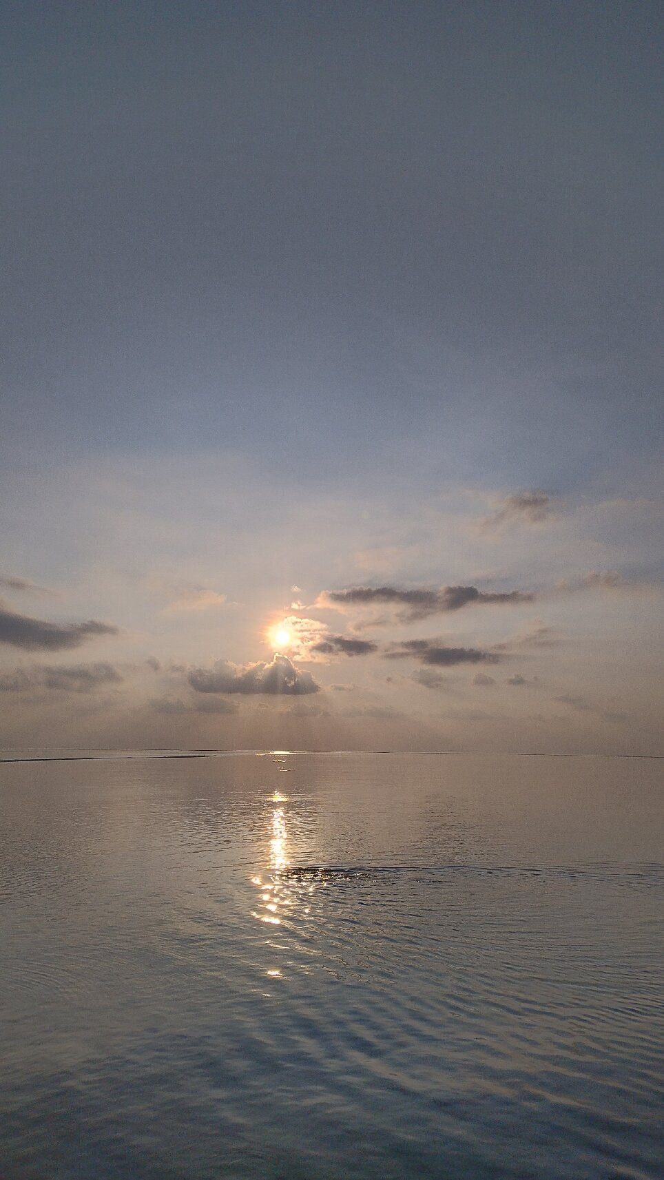 甘格西岛度假村-官方