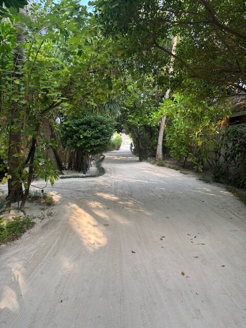 Emerald Faarufushi Resort & Spa-浴室