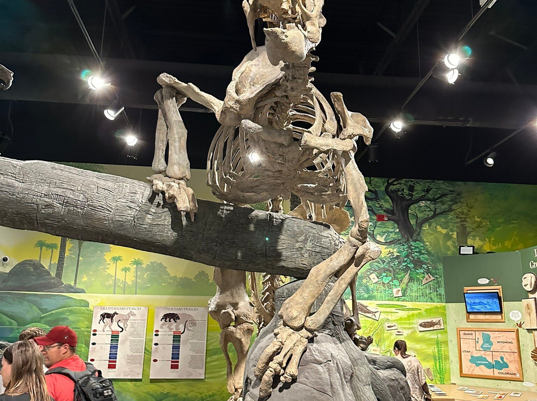 Mountain America Museum of Ancient Life-李海必去景点