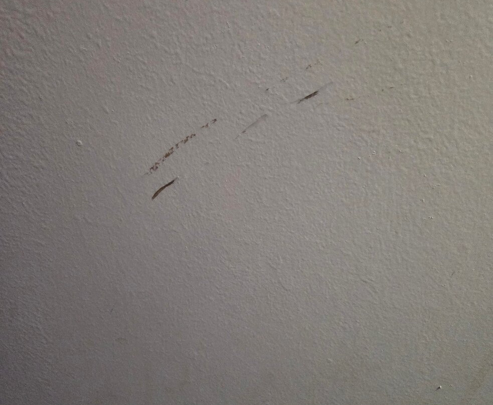 Premier Inn Berwick-upon-Tweed hotel主图