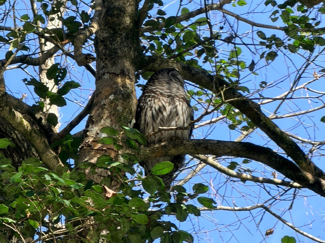 Carolina Outdoor Adventures-厄莫必去景点