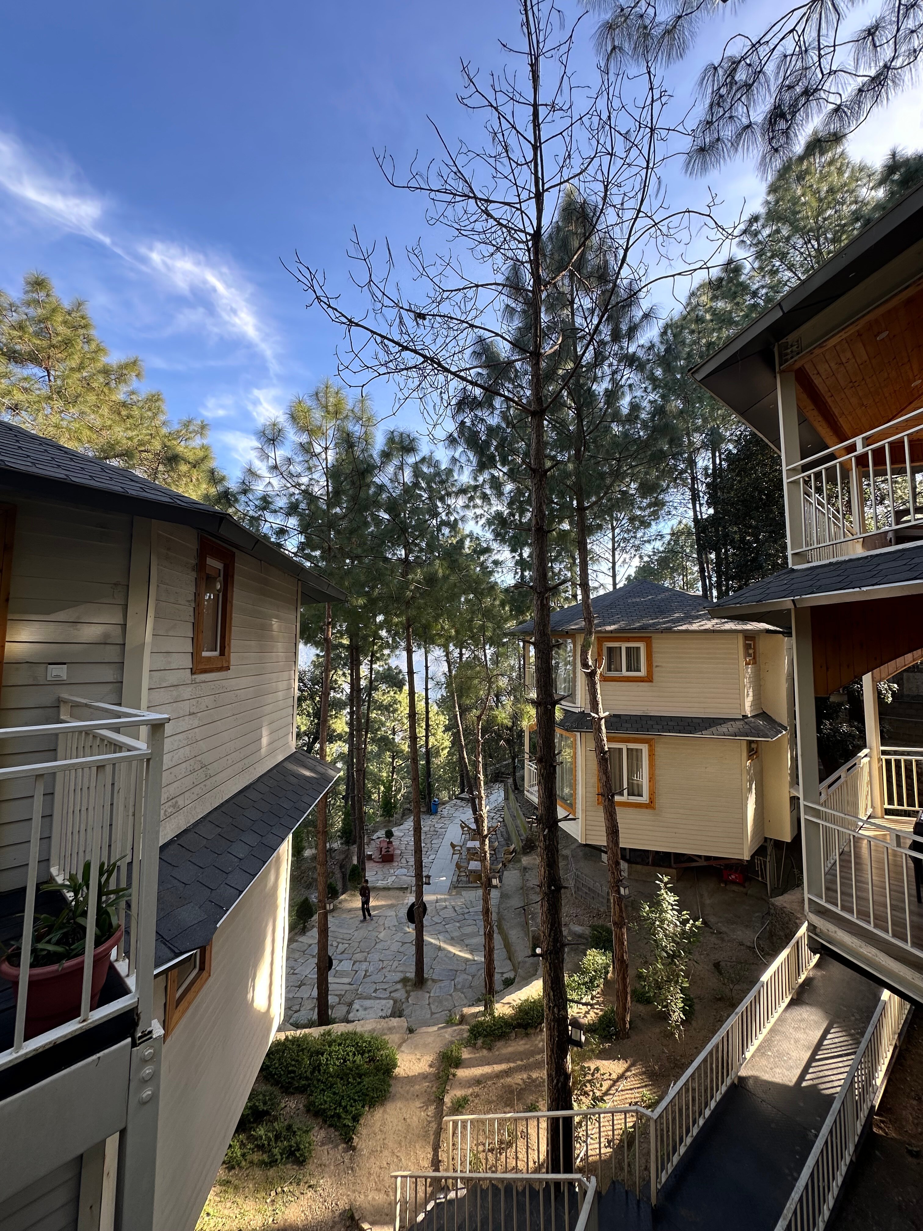 The Woods Retreat-官方