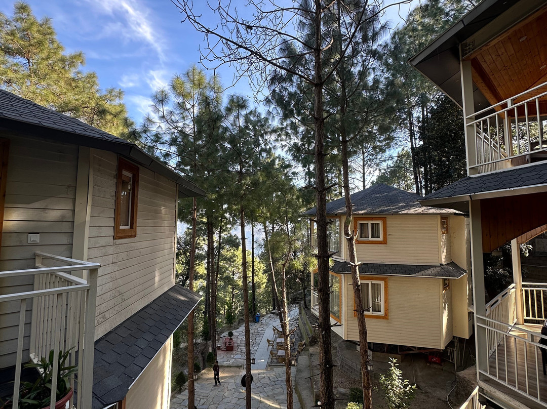 The Woods Retreat主图