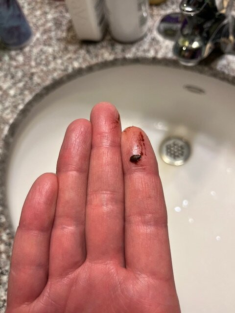 Best Western Plus Rama Inn主图