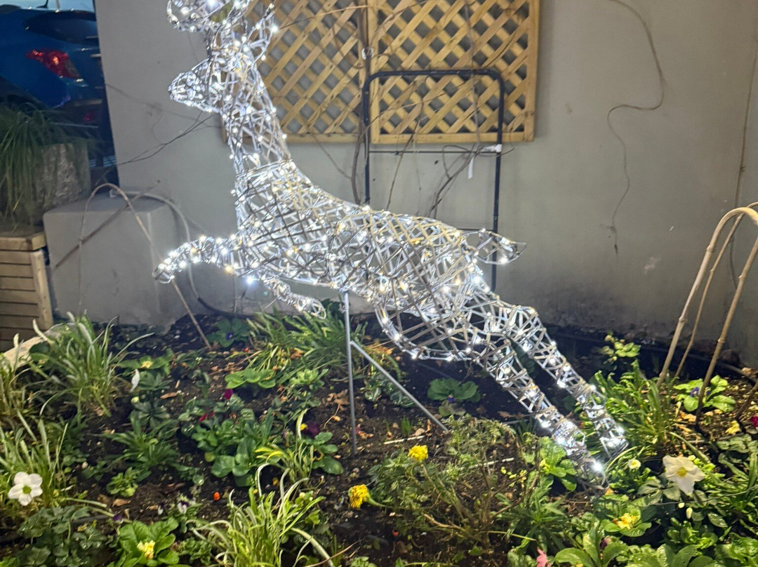 The New Ocean Hotel主图