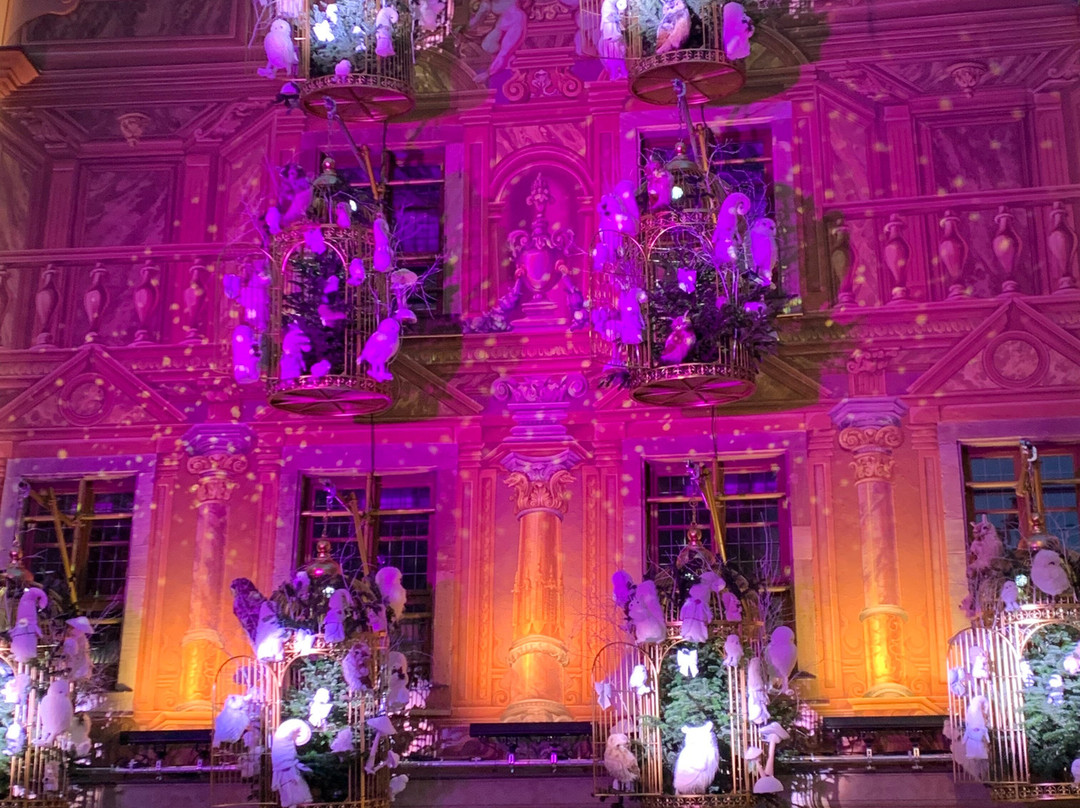 Hotel Restaurant Aux Bruyeres主图