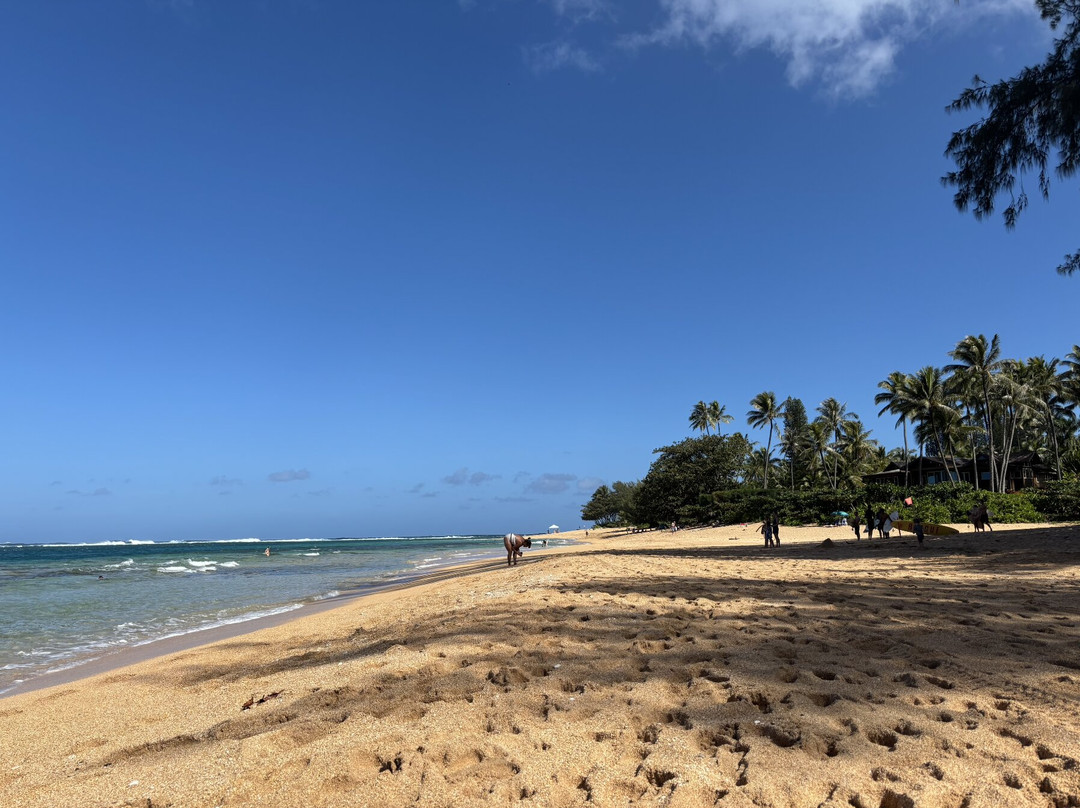 Ha'ena State Park-可爱岛必去景点