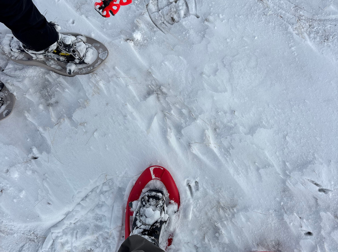 R1 Aventuras - Deportes de Aventura, Barranquismo y Esquí en Pirineos-Villanua必去景点