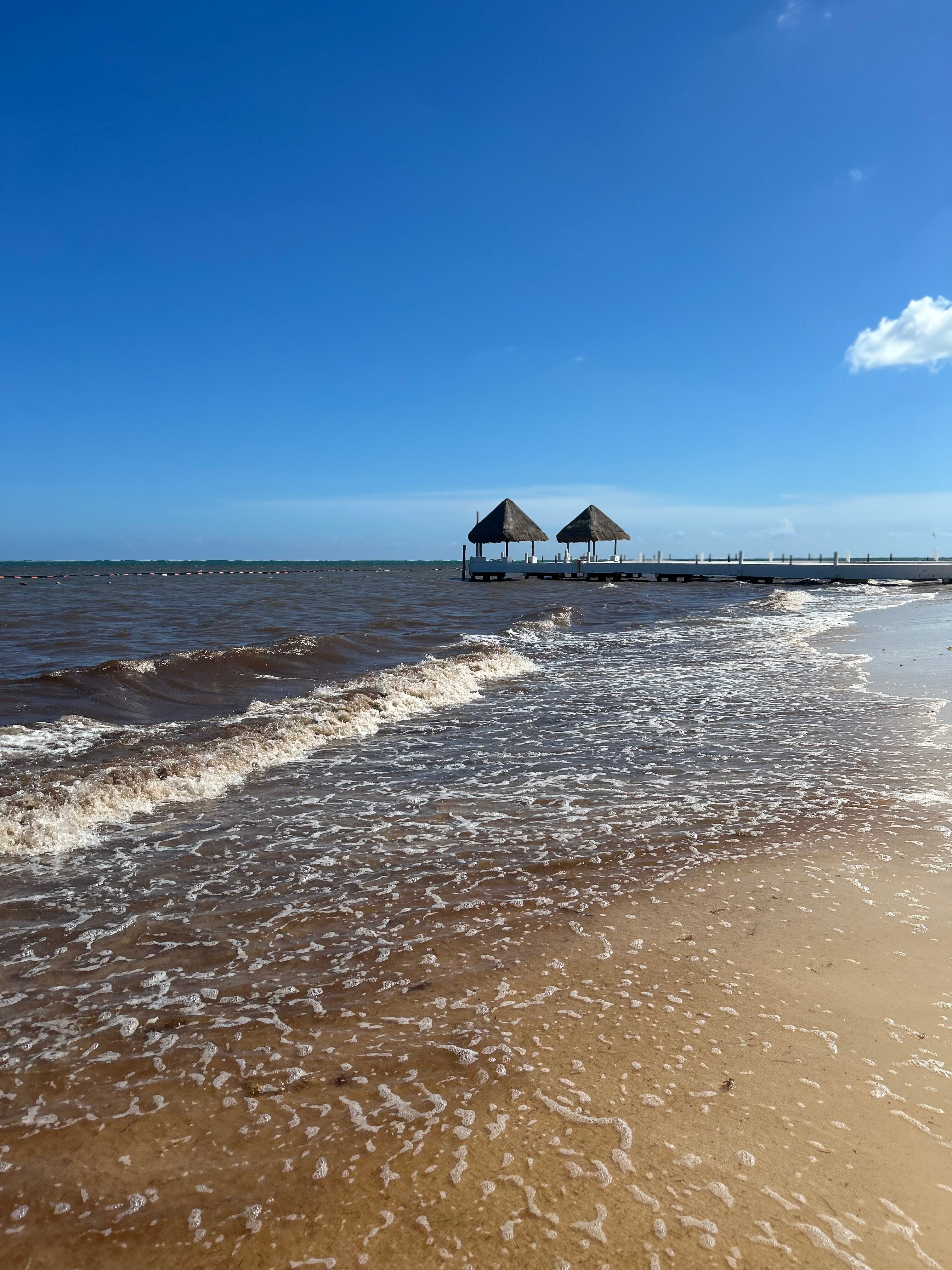 坎昆海滨卓越酒店-全包-仅限成人-官方